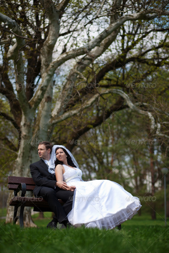 Bride and Groom Sitting on a Park Bench