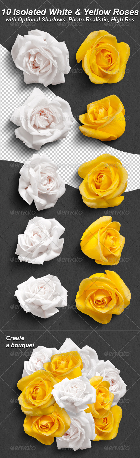 10 Photo-Realistic Isolated White and Yellow Roses