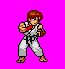 Ryu jus style