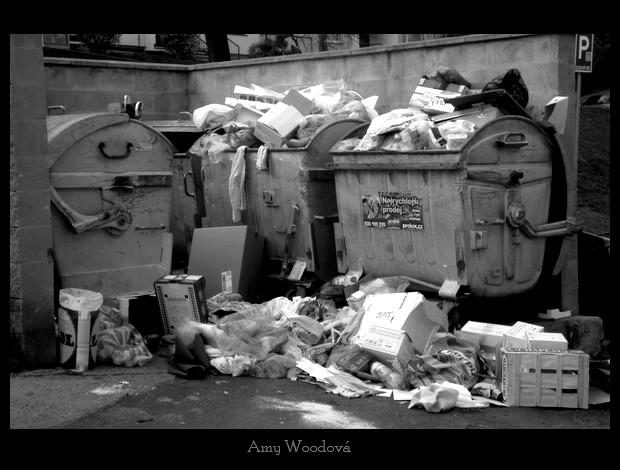 Scared Dustbin Dustbin by AmyWood on DeviantArt