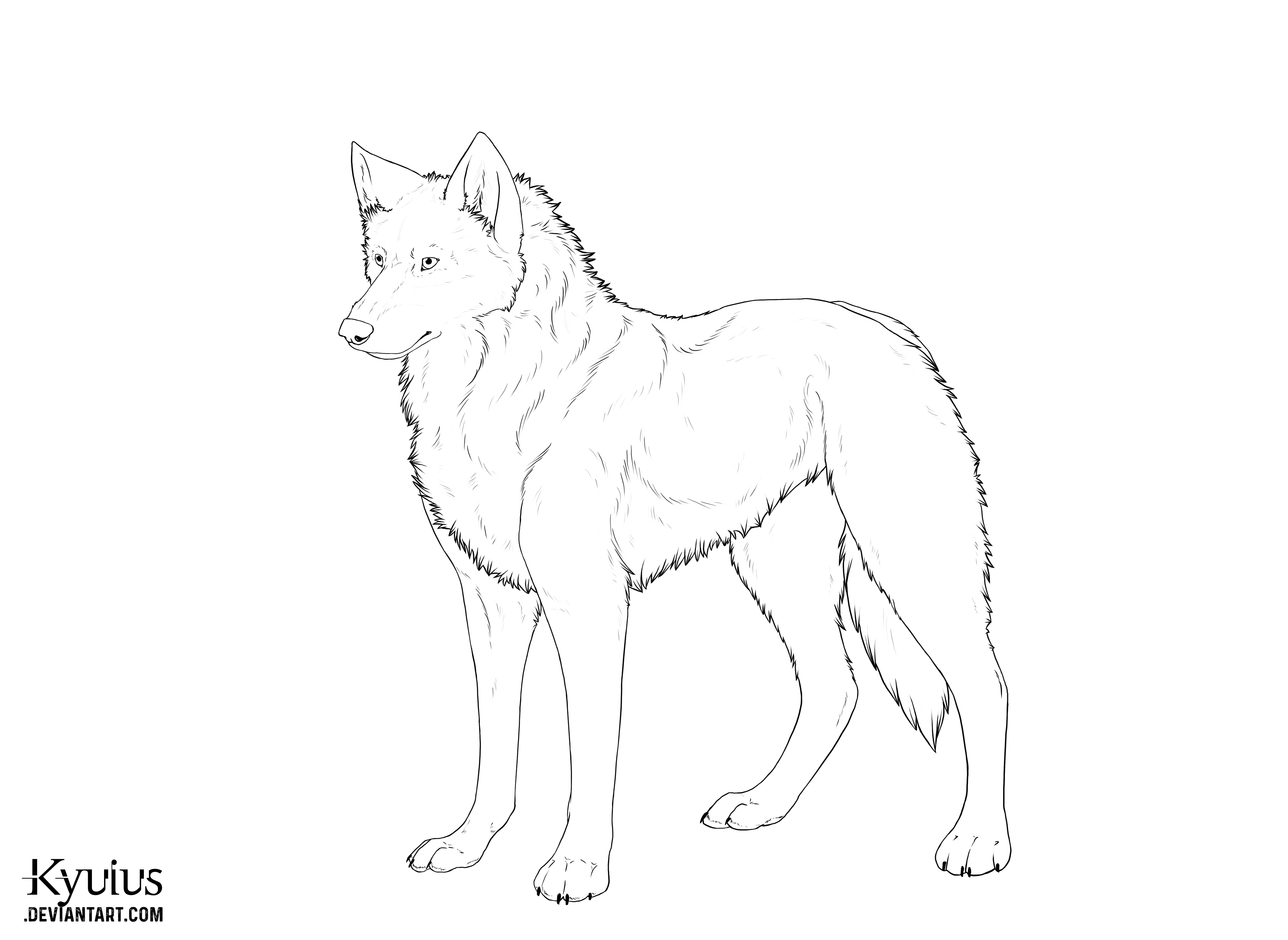 Realistic Wolf Lineart