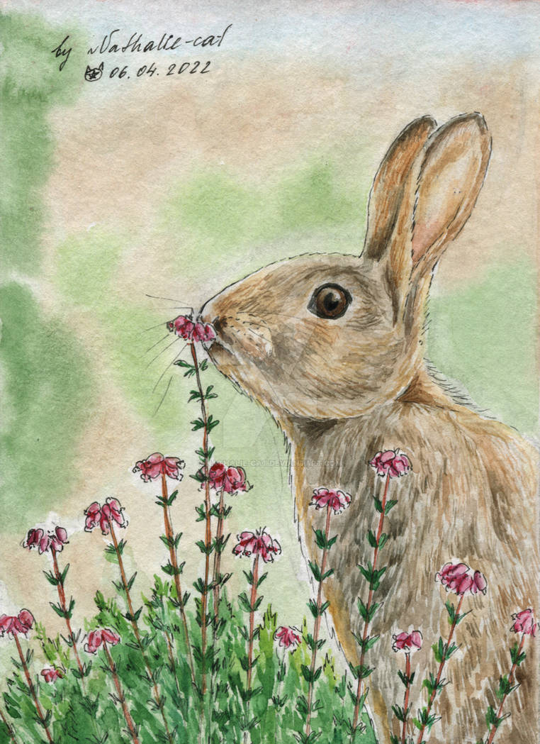 Bunny smelling flowers by Nathalie-cat on DeviantArt