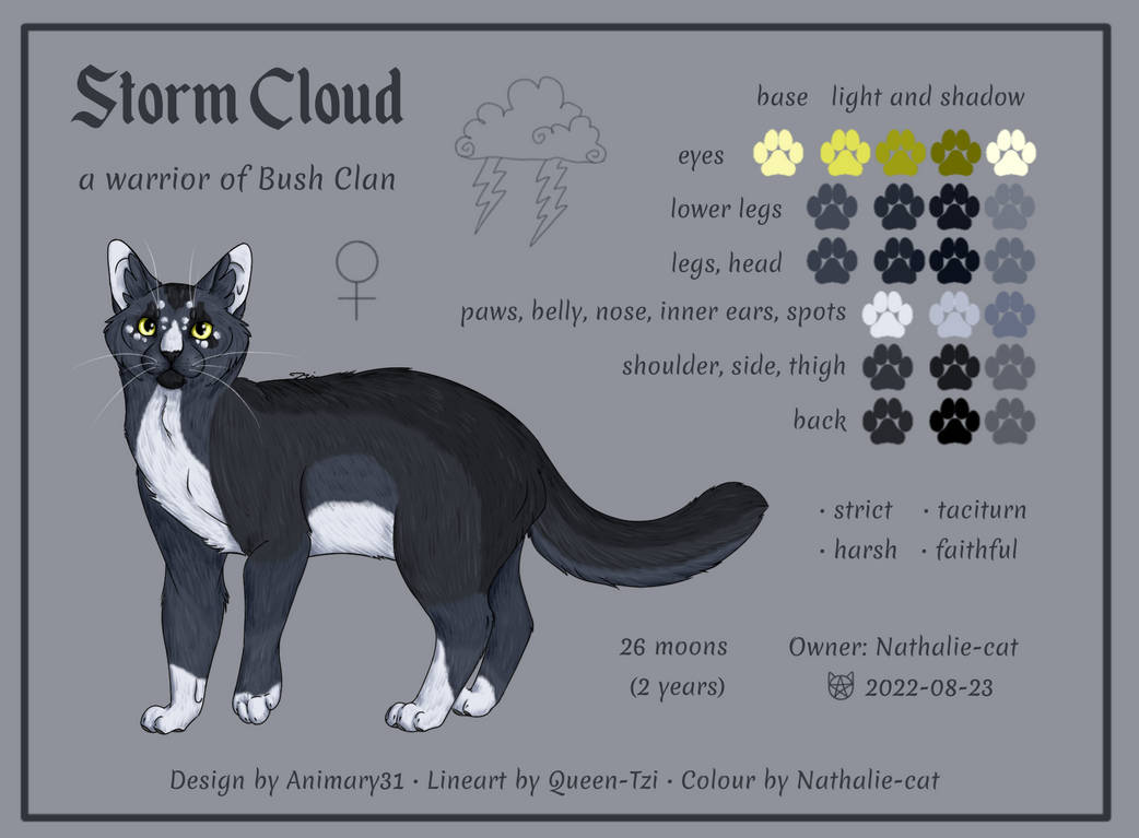 Storm Cloud reference by Nathalie-cat on DeviantArt