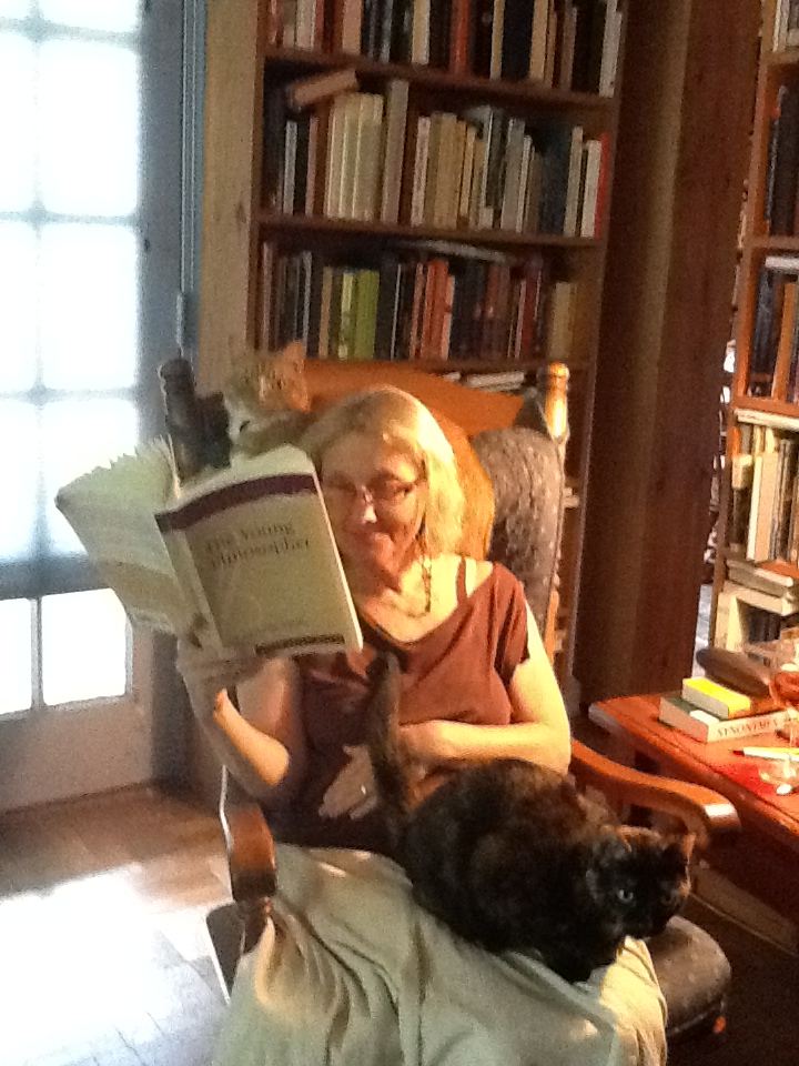 Reading With Cats by MissIzzy