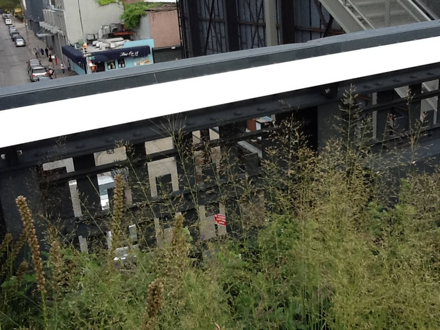 From the High Line by MissIzzy