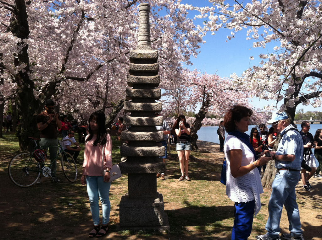 International Relations Pagoda by MissIzzy