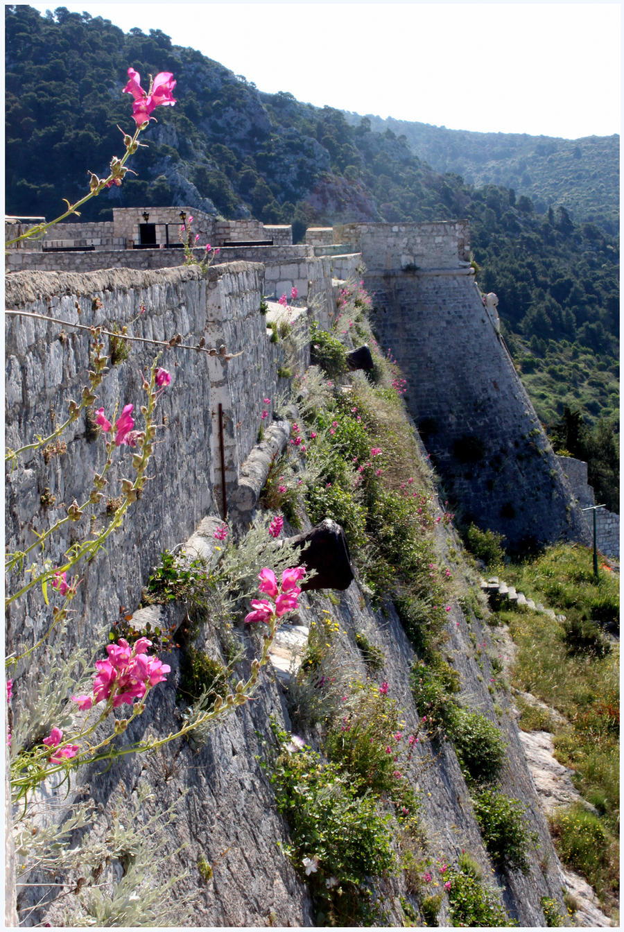 Flower Studded Fortress
