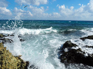 Xcaret Splash