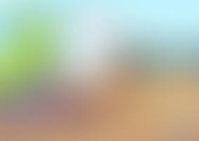 COMMISSION - One-of-a-Kind Celebration