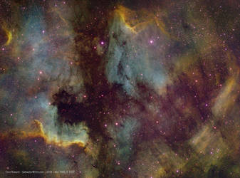 North America Nebula and Pelican Nebula in Cygnus