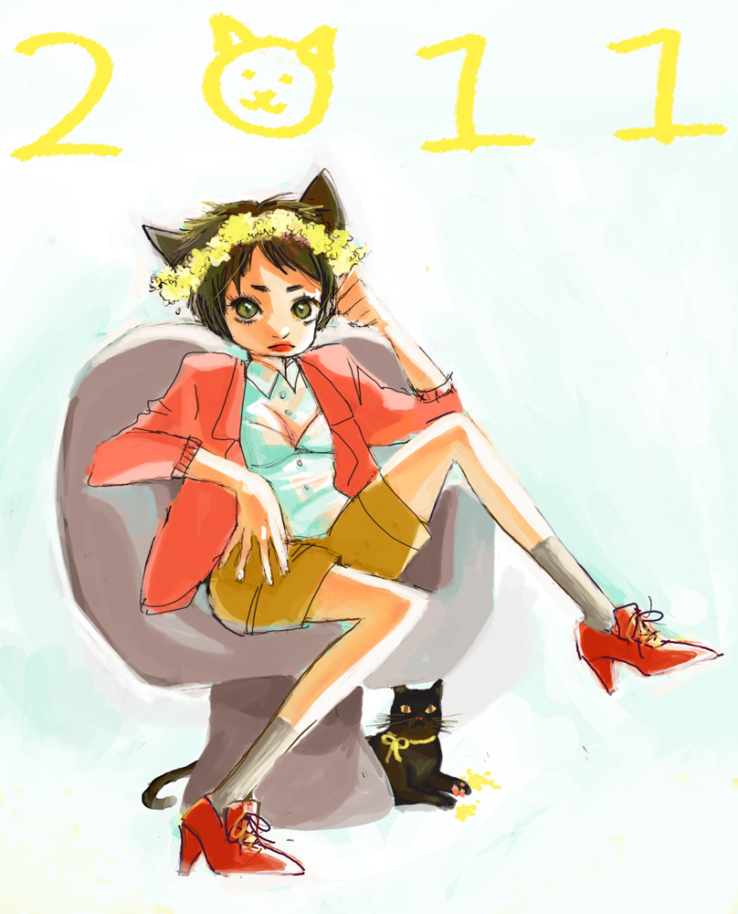 year of the cat 2011