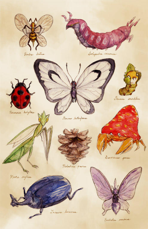 bug pokemon by chupachup on DeviantArt