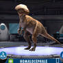 Jurassic world alive: homalocephale