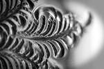 Silver Detail by ARC-Photographic