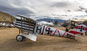 German Pfalz D.III