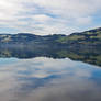 Otago Harbour