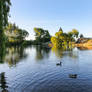 Late Light on the Pond