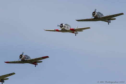 North American Harvards