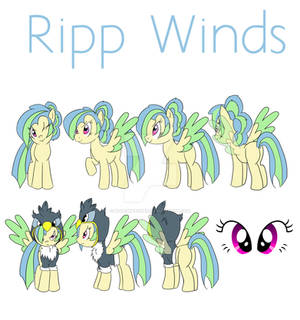 Ripp Winds