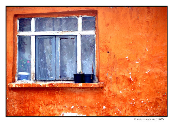 Orange house