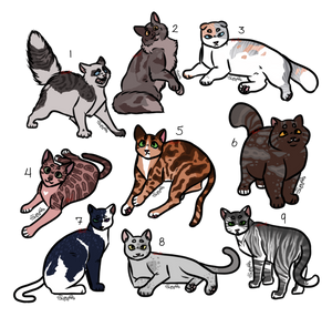 point cat adoptables | CLOSED