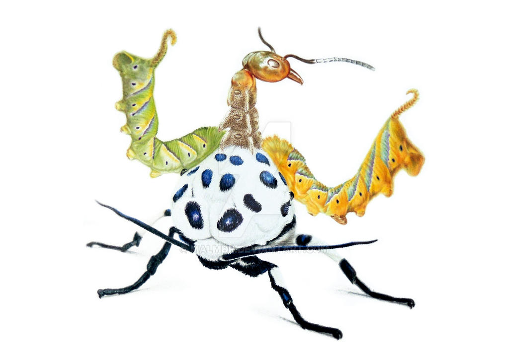 Pseint Insecto Insecto by malmdp on DeviantArt