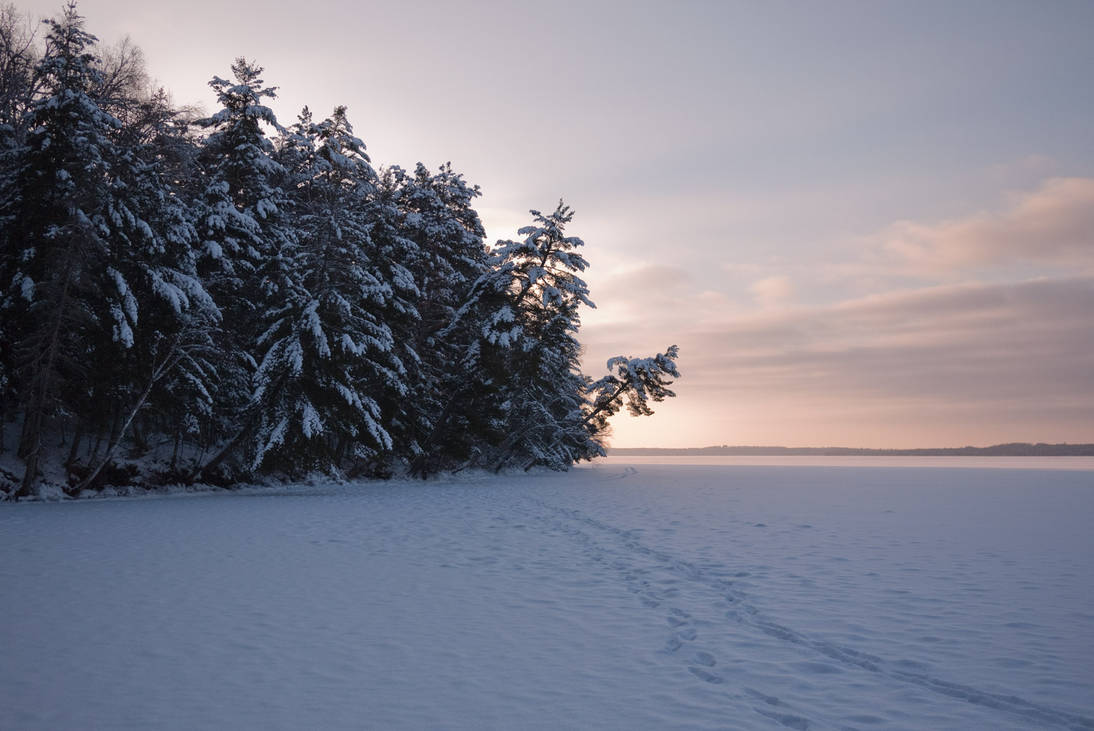 Midwinter at Loufek Point