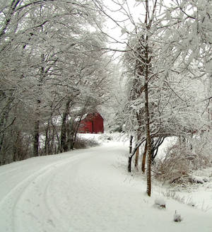 Barn in winter 2