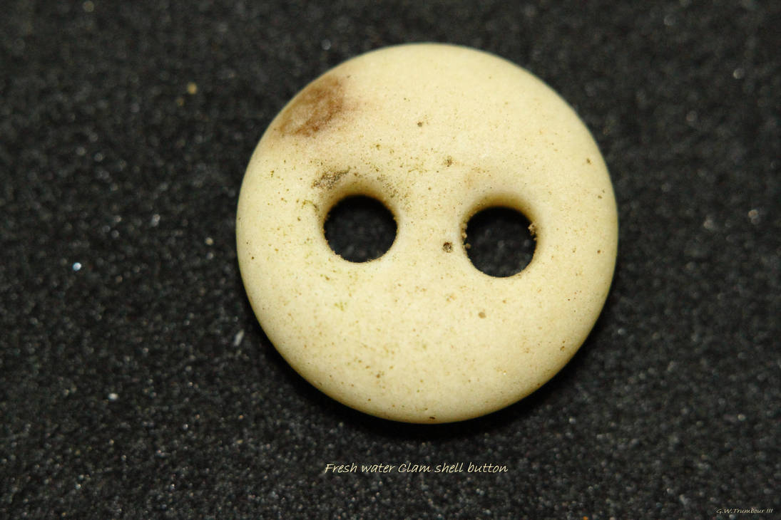 Old clam shell button by natureguy on DeviantArt