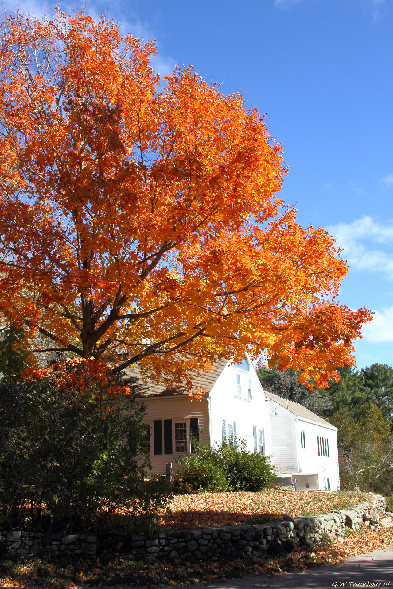 N E Farm house front yard in Autumn