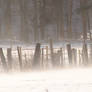 Wind blown snow an fence