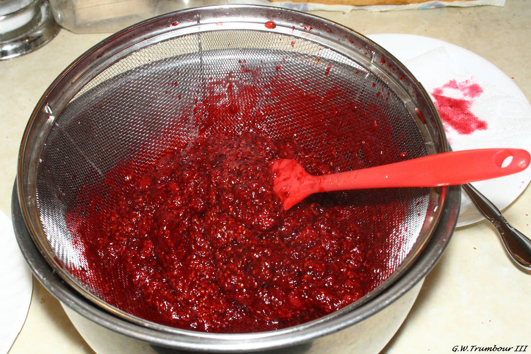 Making Homemade Black Raspberry Syrup 2 by natureguy on DeviantArt