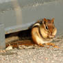 Breakfast at the front door