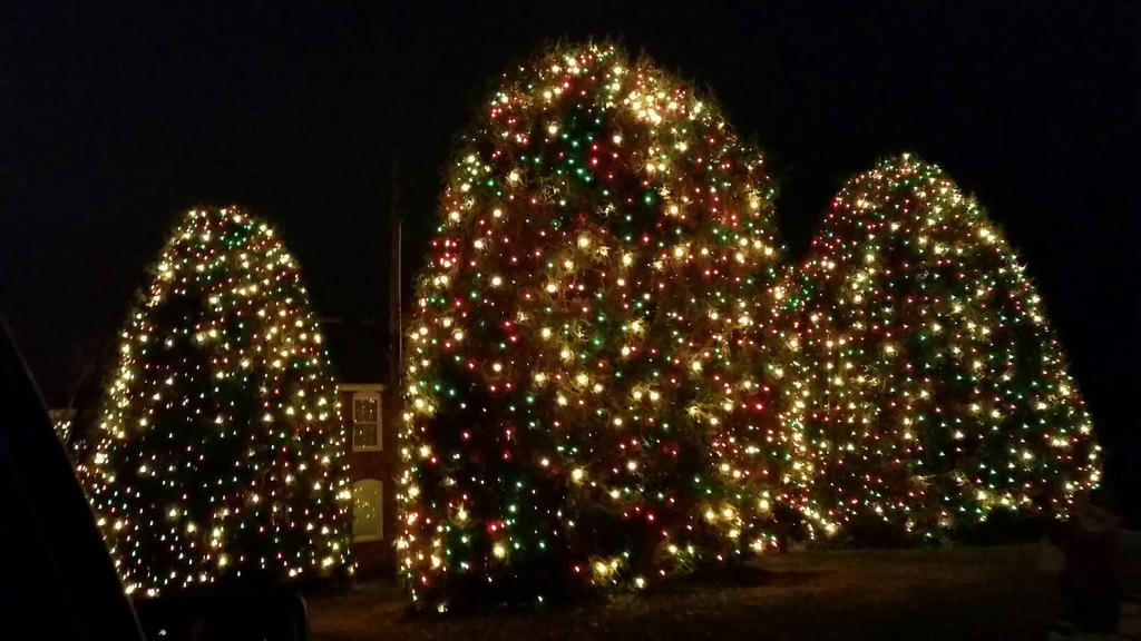 Trinity Trees by OddGarfield on DeviantArt