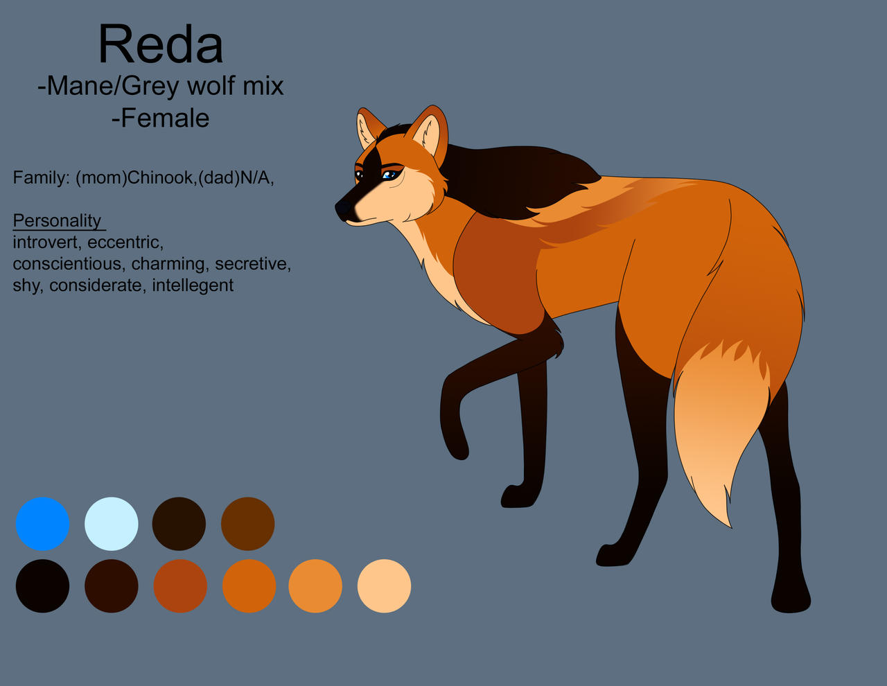 Reda Character Sheet by Levadra on DeviantArt