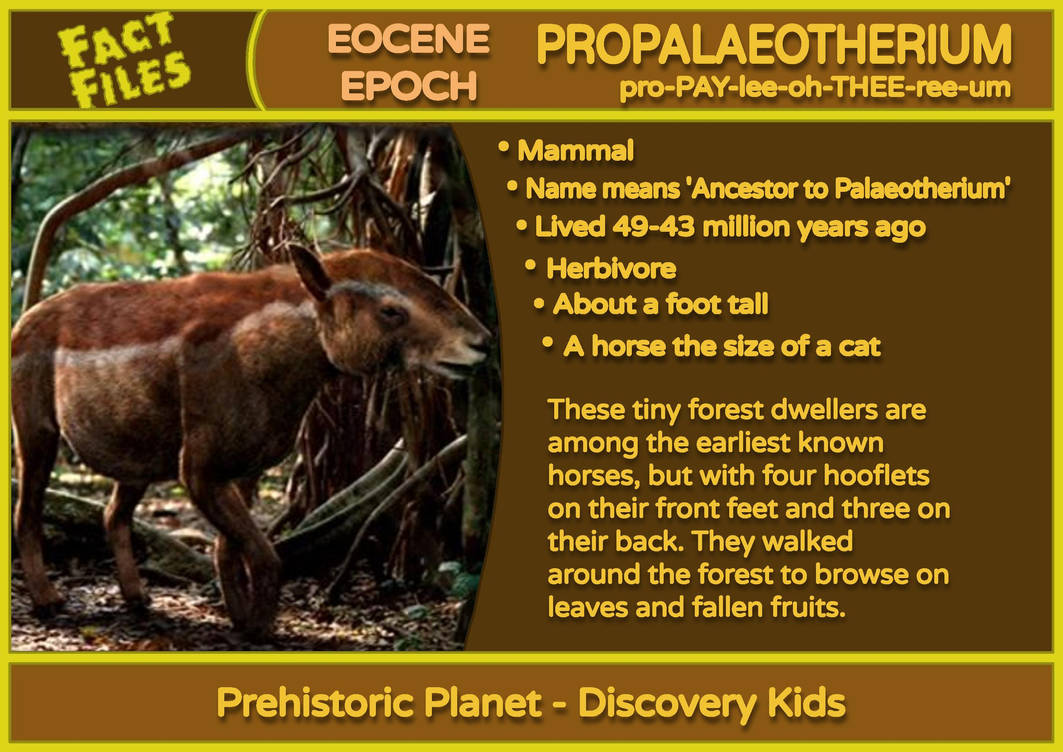 Prehistoric Planet 2002 Fact File 34 By JAM MAN1998 On DeviantArt prehistoric-planet-2002-fact-file-34-by-jam-man1998-on-deviantart