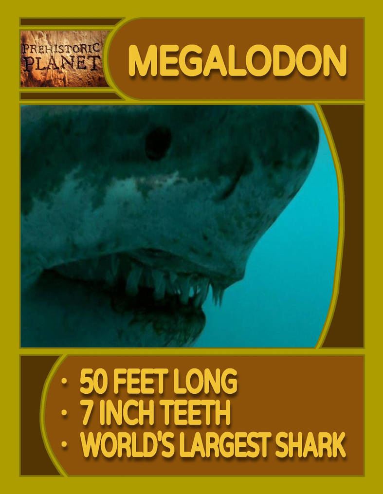 Prehistoric Planet (CC) - Megalodon by JAM-MAN1998 on DeviantArt