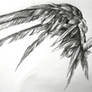 another fallen angel wings