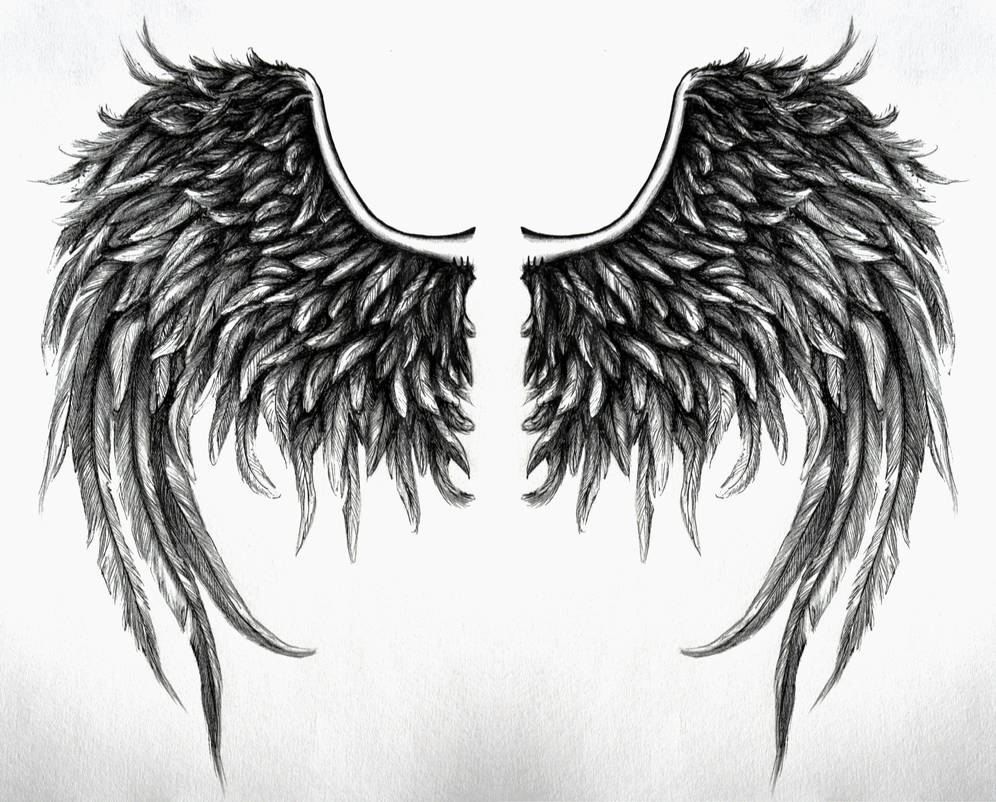 fallen angel wings design No4 by SwarzezTier on DeviantArt