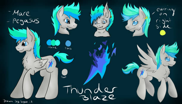 Reference for Thunder Blaze (Mlp OC)