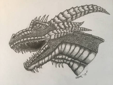 Dragons head drawing