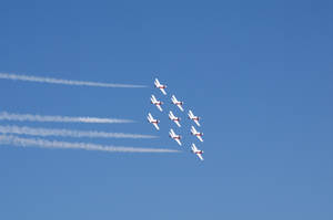 Snowbirds 126