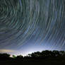 Perseids Startrails 2