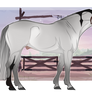 Thorian Stock Horse | F12