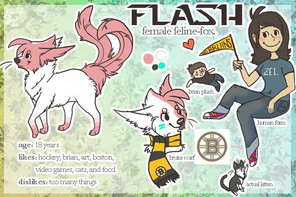 NEW Flash Reference by zeiart on DeviantArt