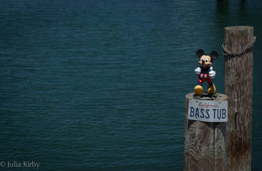 Mickey's Bass Tub