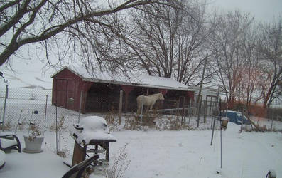 So this is my back yard as of last night