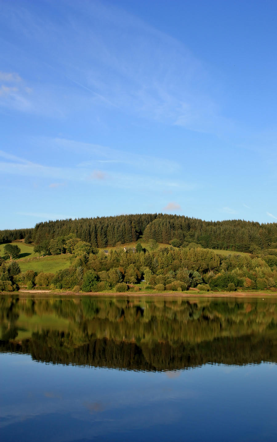 Lake Reflection