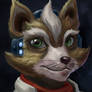 Fox Mccloud's ID picture 16/100