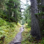 Hemlock Grove Boardwalk